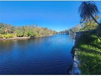 Scenic view of a tranquil canal, lush vegetation, and a clear blue sky at 7222 N Ola Ave, Tampa, FL 33604