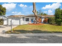 Single story home with a large tree in front yard at 3734 Pensdale Dr, New Port Richey, FL 34652