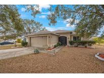 Charming single-story home with a well-manicured lawn and inviting front porch and two car garage at 12113 Pepper Creek Ct, Riverview, FL 33579