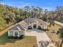 A high angle view showcasing a home with solar panels, a spacious driveway, and verdant landscaping at 7482 Winter St, Brooksville, FL 34613