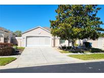 Charming home featuring a two-car garage, a well-maintained lawn, and a mature shade tree at 355 Royal Palm Way, Spring Hill, FL 34608