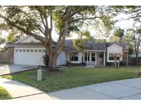 Charming single-story home with a well-maintained lawn and mature landscaping at 2233 Egret Walk Ct, New Port Richey, FL 34655