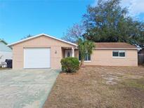Charming single-story home featuring an attached garage, manicured lawn, and well-maintained landscaping at 6301 Baldwyn Ave, New Port Richey, FL 34653