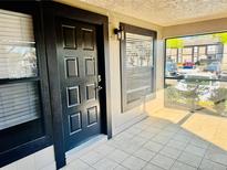 Welcoming front door of the home featuring sleek black hardware and a convenient window for natural light at 14736 Norwood Oaks Dr # 103, Tampa, FL 33613