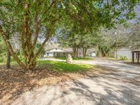 Charming single-story home featuring a spacious front yard and mature trees providing ample shade and curb appeal at 14821 Sassandra Dr, Odessa, FL 33556