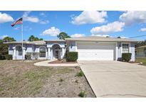 Charming single-story home with a two-car garage, and manicured front lawn at 11257 Frigate Bird Ave, Weeki Wachee, FL 34613
