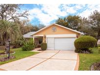 Charming single-Gathering home with a two-car garage, mature landscaping, and a welcoming driveway at 2641 Royal Ridge Dr, Spring Hill, FL 34606