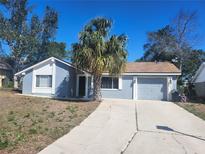 Charming single-story home featuring a blue exterior, a one-car garage, and a well-maintained front yard with a palm tree at 8501 Hunting Saddle Dr, Hudson, FL 34667