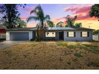 Charming single-story home with a palm tree and a two-car garage at sunset at 2608 W Fletcher Ave, Tampa, FL 33618