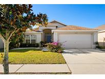 Charming single-story home featuring a well-manicured lawn, beautiful landscaping, and a two-car garage at 11023 Silver Dancer Dr, Riverview, FL 33579