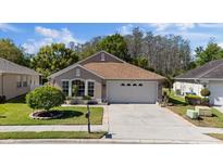 Charming single-story home with a well-manicured lawn and a two-car garage in a quiet neighborhood at 2625 Micah Dr, Trinity, FL 34655