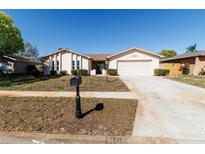 Charming one-story home featuring a well-manicured lawn and inviting curb appeal under a clear blue sky at 11001 Peppertree Ln, Port Richey, FL 34668