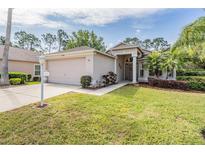 Charming single-Gathering home with well-maintained lawn and landscaping, offering great curb appeal at 11428 Hidden Cove Ct, Trinity, FL 34655