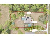 Expansive aerial view of private property with pool, outbuildings and surrounded by lush greenery at 18606 Kuka Ln, Spring Hill, FL 34610