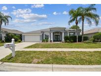 Charming single-story home featuring a well-manicured lawn, mature palm trees, and a welcoming entrance at 22129 Yachtclub Ter, Land O Lakes, FL 34639