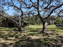Sprawling front yard with majestic oak trees, a rustic barn, and a glimpse of a vintage truck at 3655 Keystone Rd, Tarpon Springs, FL 34688