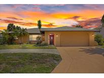 Charming home with a well-maintained lawn, mature palm trees, and an attached two-car garage at 5000 Southshore Dr, New Port Richey, FL 34652
