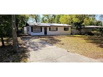 Charming single-story home featuring a metal roof and a spacious front yard with a long concrete driveway at 807 S Castle Ct, Tampa, FL 33612