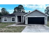 Charming single-story home with a black garage door and inviting front entrance at 13066 Painted Bunting Ave, Weeki Wachee, FL 34614