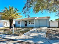 Charming single-story home features a well-maintained front yard and attached garage, palm tree, and inviting entrance at 9350 Barrington Ln, Port Richey, FL 34668