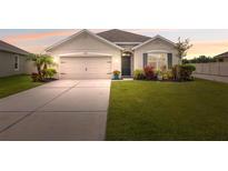 Charming single-story home featuring a manicured lawn and a two-car garage in a quiet neighborhood at 30639 Summer Sun Loop, Wesley Chapel, FL 33545