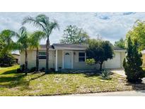 Charming single-story home with well-maintained lawn, palm trees, and inviting front entrance at 9136 Mark Twain Ln, Port Richey, FL 34668