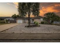 Beautiful home with a well-maintained yard and mature palm trees, creating a tropical oasis at 7341 Bimini Dr, Port Richey, FL 34668
