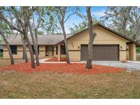 Charming single story home featuring mature trees, cozy front yard and attached two car garage at 10531 Lakeview Dr, New Port Richey, FL 34654