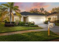 Inviting single-story home featuring a well-manicured lawn, mature palm tree, and a two-car garage at 11254 Mollymawk Ct, New Port Richey, FL 34654