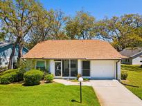 Charming single-story home featuring a well-manicured lawn, attached garage, and inviting facade at 11536 Golden Rain Dr, New Port Richey, FL 34654