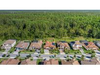 Aerial view showcasing a luxurious neighborhood and a home with a perfectly manicured lawn at 5070 Night Star Trl, Odessa, FL 33556