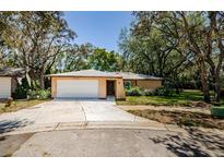 Charming single-story home with a two-car garage and mature trees in a residential neighborhood at 10641 Timber Ln, Port Richey, FL 34668