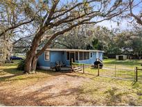 Charming home with a large tree in the front yard and a grill, presenting a welcoming curb appeal at 1916 & 1910 Beachway Ln, Odessa, FL 33556