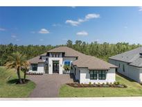 Stunning home featuring a paved driveway, manicured lawn, and well-maintained landscaping at 16557 Acoustic Loop, Land O Lakes, FL 34638