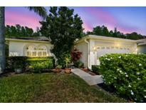 Charming single-Gathering home featuring a well-manicured lawn, lush landscaping, and a two-car garage at 1119 Dustan Pl, Trinity, FL 34655