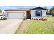 Charming single-story home featuring a well-maintained lawn, inviting front door, and a convenient two-car garage at 13205 Arkendale St, Spring Hill, FL 34609
