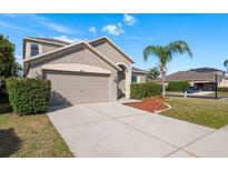 Inviting two-story home featuring a well-manicured lawn, mature landscaping, and an attached two-car garage at 1810 Winsloe Dr, Trinity, FL 34655