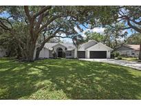 Traditional home showcasing a well-manicured lawn and mature trees, creating an inviting curb appeal at 7233 Royal Oak Dr, Spring Hill, FL 34607