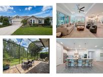 Collage with exterior, kitchen, screened lanai and living room showing property features at 15355 Renaissance Ave, Odessa, FL 33556