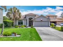 Charming single-story home with a well-manicured lawn, a two-car garage, and beautiful landscaping with palm trees at 4207 Fishermans Lake Dr, Lutz, FL 33558