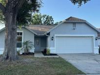 Charming single story home featuring a two-car garage and mature landscaping at 10906 Carnelian Ln, Riverview, FL 33578