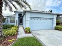Charming one-story home with a well-manicured lawn and an attached two-car garage at 11342 Hollander Ave, Hudson, FL 34667