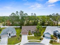 Charming single-story home featuring a well-maintained lawn and lush landscaping in a quiet neighborhood at 11443 Marsh Creek Ct, New Port Richey, FL 34654