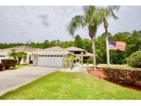 Charming home with a well-manicured lawn, palm trees, and an American flag, creating a welcoming curb appeal at 1723 Cortleigh Dr, Trinity, FL 34655