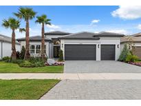 Beautiful single-story home with a two-car garage, front lawn, and meticulous landscaping and palm trees at 3915 Corsica Pl, Wesley Chapel, FL 33543