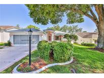 Charming single-story home with a well-manicured lawn and mature tree providing shade at 7499 Blue Skies Dr, Spring Hill, FL 34606