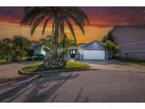 Charming single-story home with lush landscaping, mature palm trees, and a two-car garage at 9930 San Diego Way, Port Richey, FL 34668