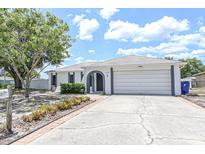 Charming single-story home featuring a well-manicured lawn, arched entryway, and a two-car garage at 9942 Woodridge Ct, Port Richey, FL 34668