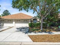 Charming home featuring a symmetrical front facade, attached two-car garage, and a mature shade tree in the front yard at 3885 Crossline Dr, Spring Hill, FL 34609