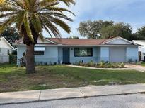 Charming single-story home with well-maintained lawn and a mature palm tree at 7331 Sandalwood Dr, Port Richey, FL 34668